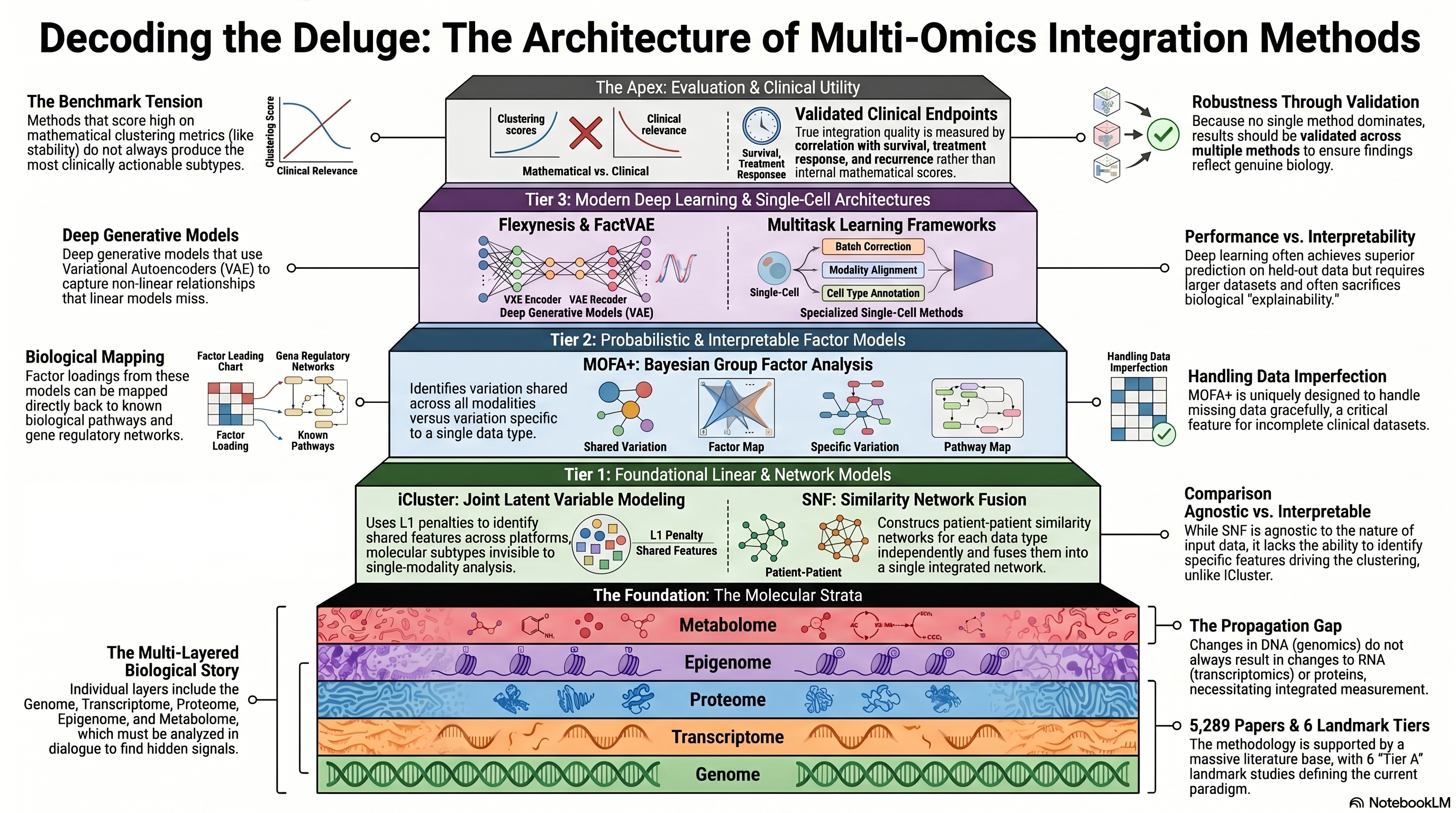 Theme 02 Infographic