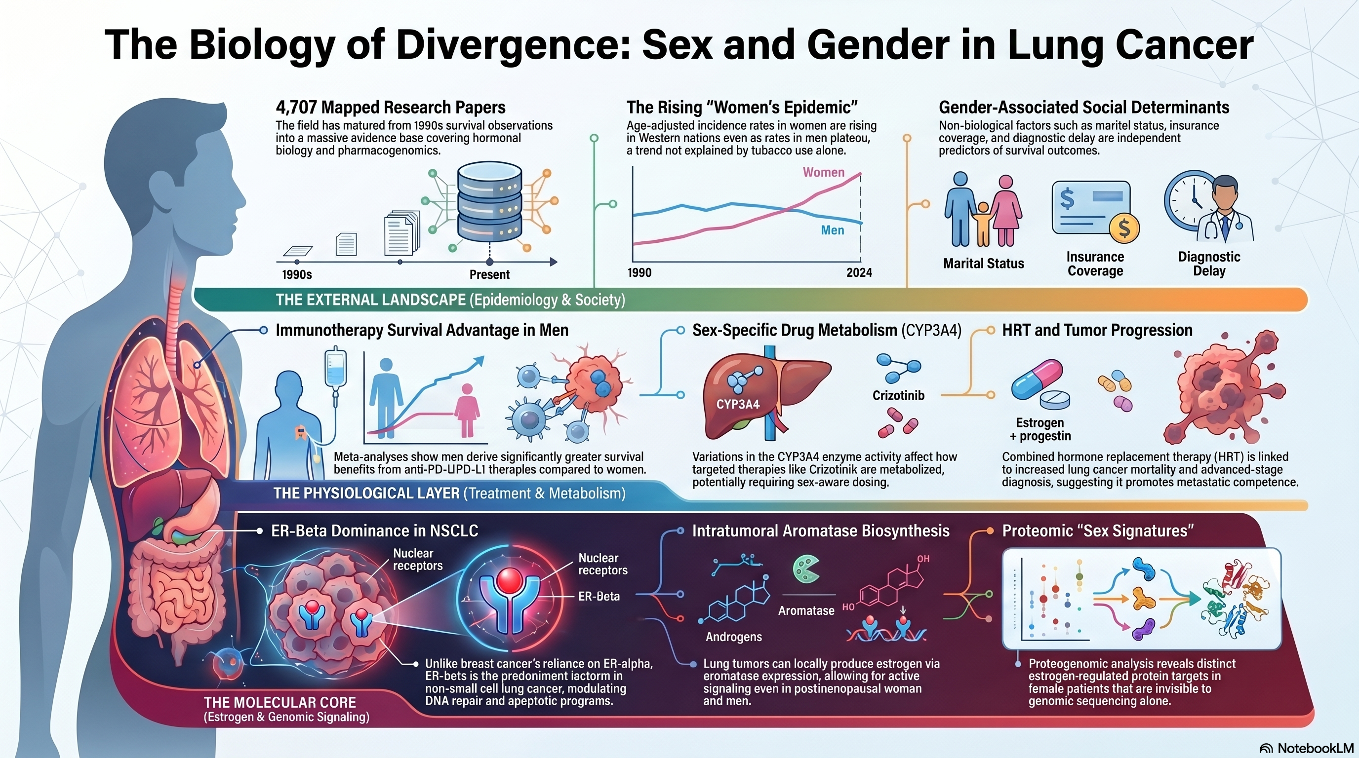 Theme 05 Infographic